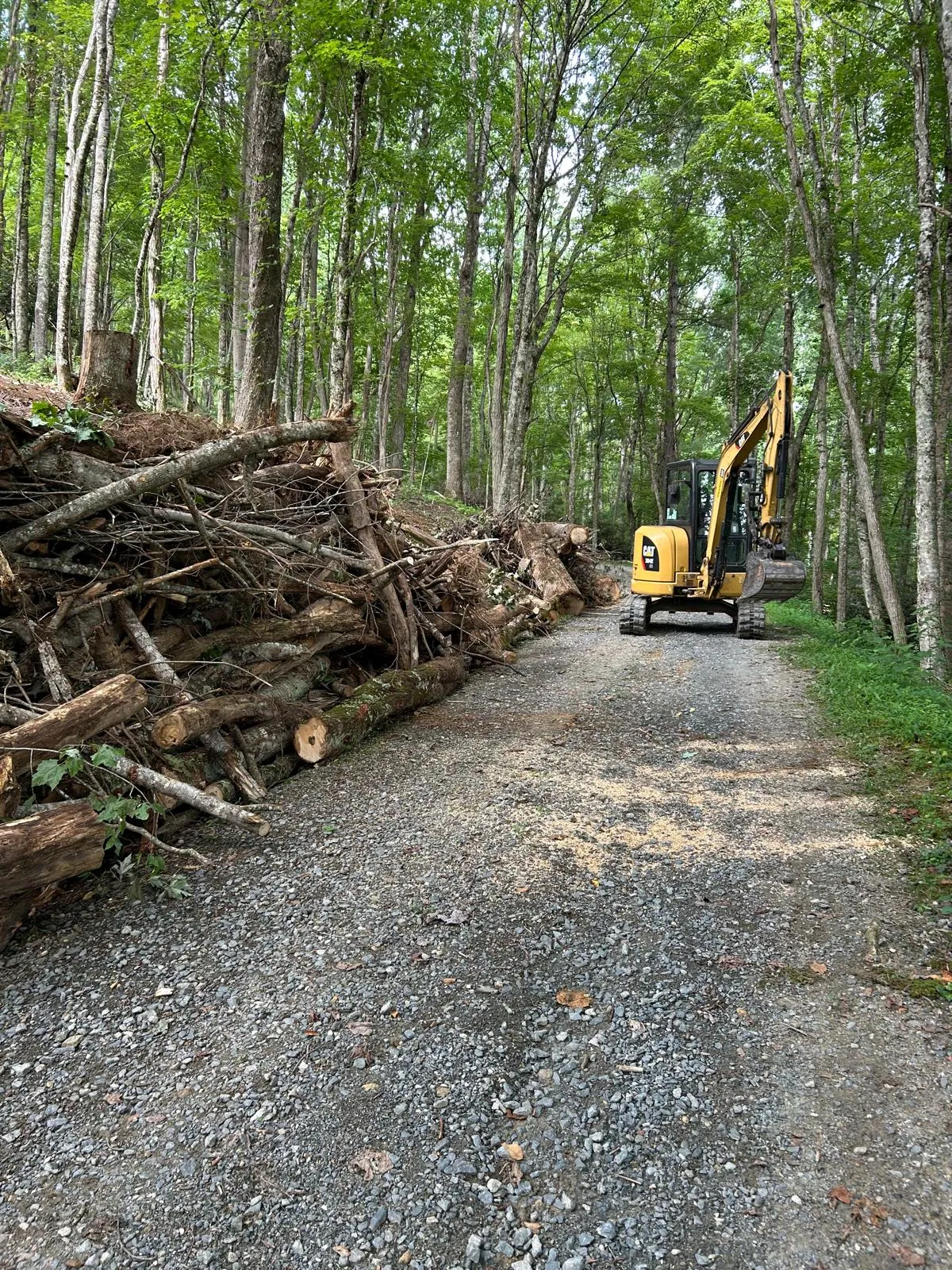 Logs and debris cleared along a gravel drive on a High Country property near Boone, NC