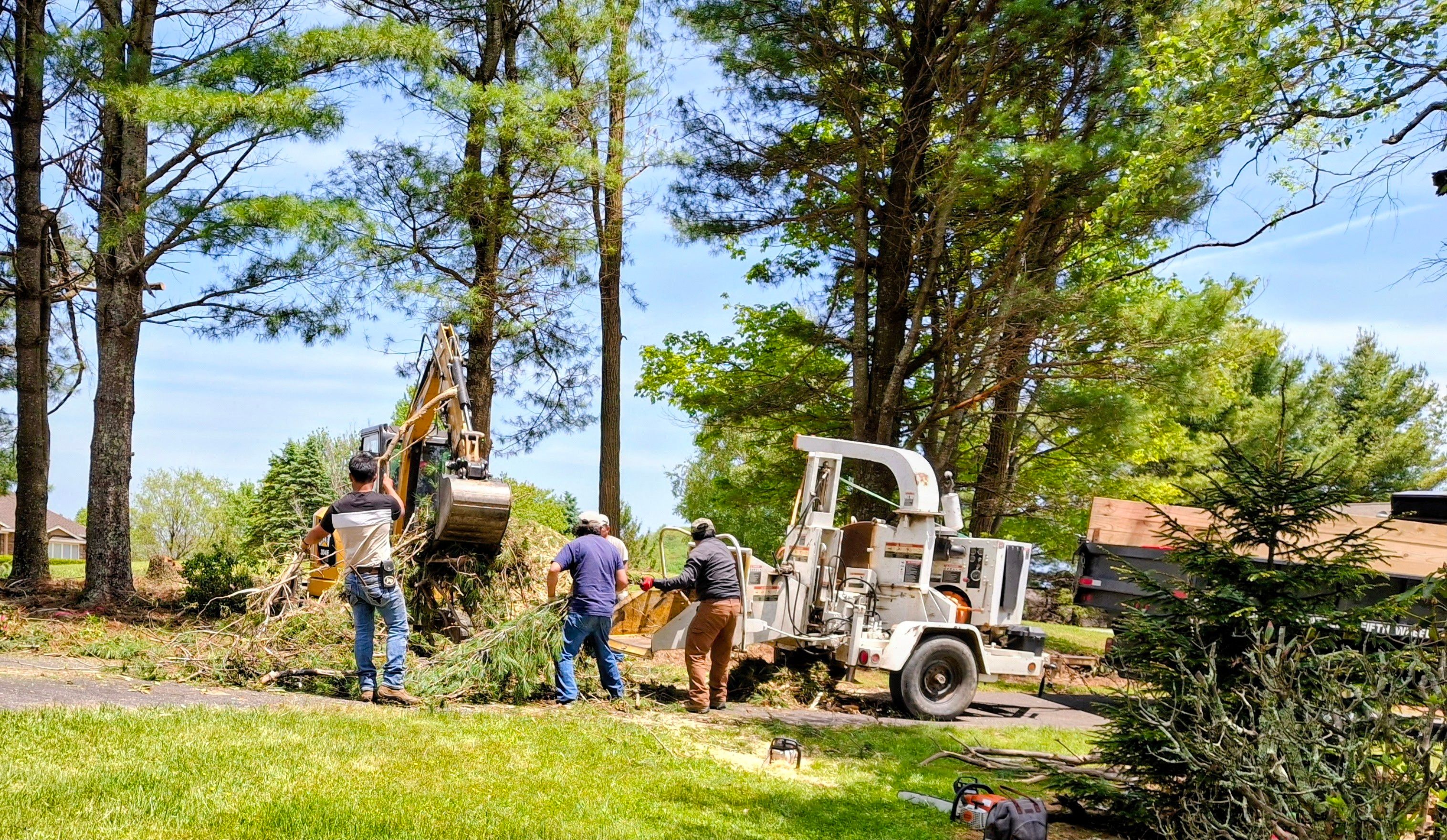 River Birch Tree Service — Land & Lot Clearing in the High Country, NC